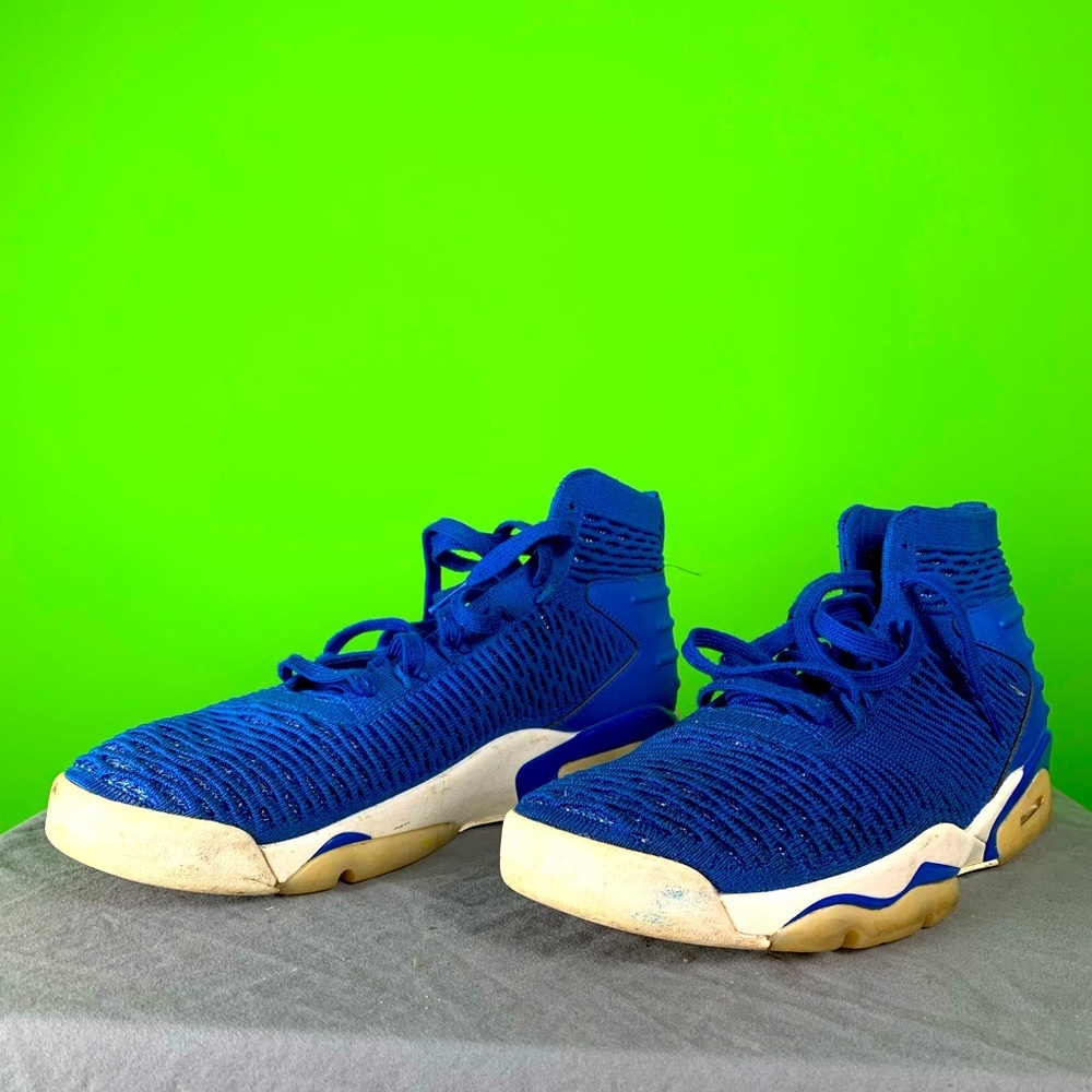 Jordan Flyknit Elevation 23 Game Royal